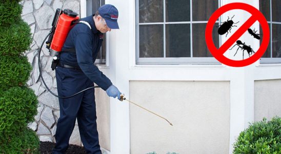 Menemen Hamam Böceği İlaçlama böcek ilaçlama ve haşere kontrolü — ilaclama-tr.com